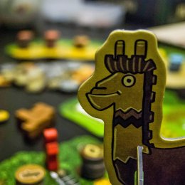 Altiplano