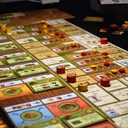 Fields of Arle