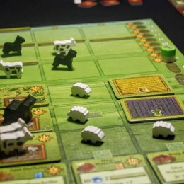 Fields of Arle