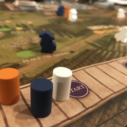 Viticulture: Essential Edition