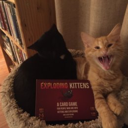 Exploding Kittens