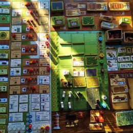 Fields of Arle