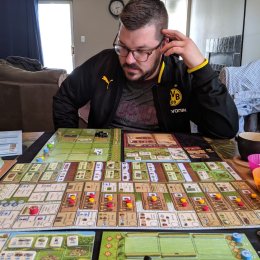 Fields of Arle