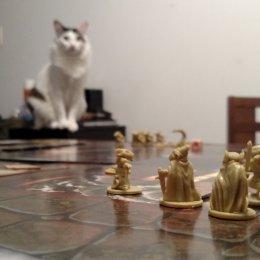 Mice and Mystics