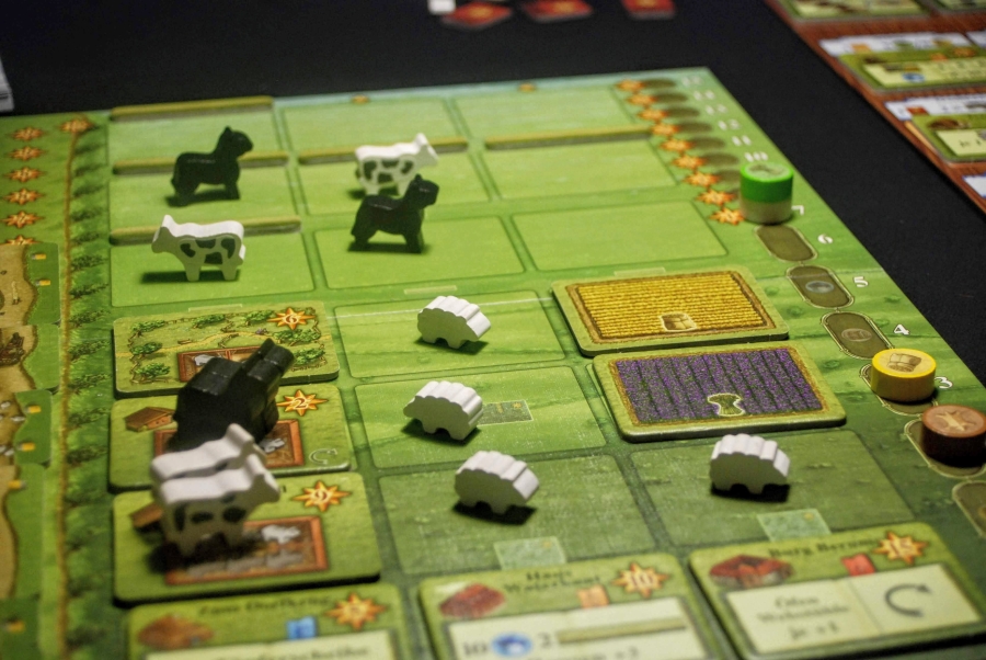 Fields of Arle