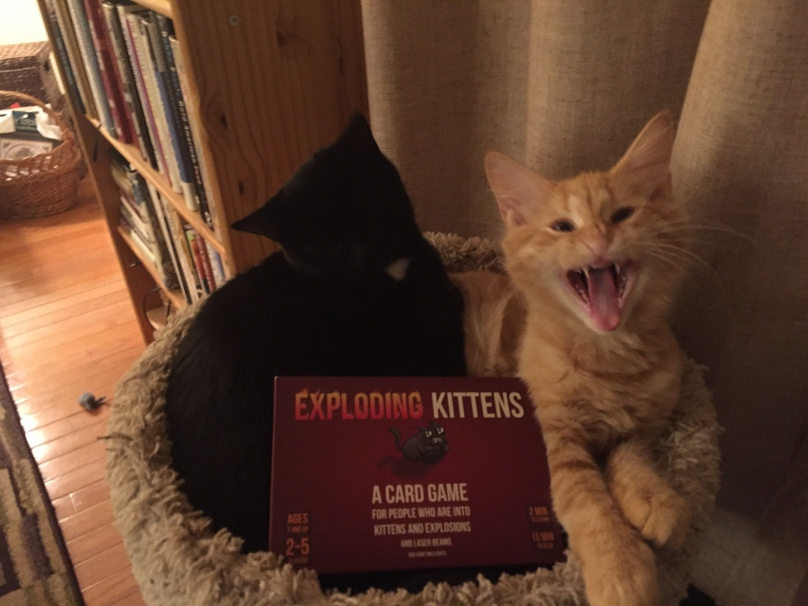 Exploding Kittens