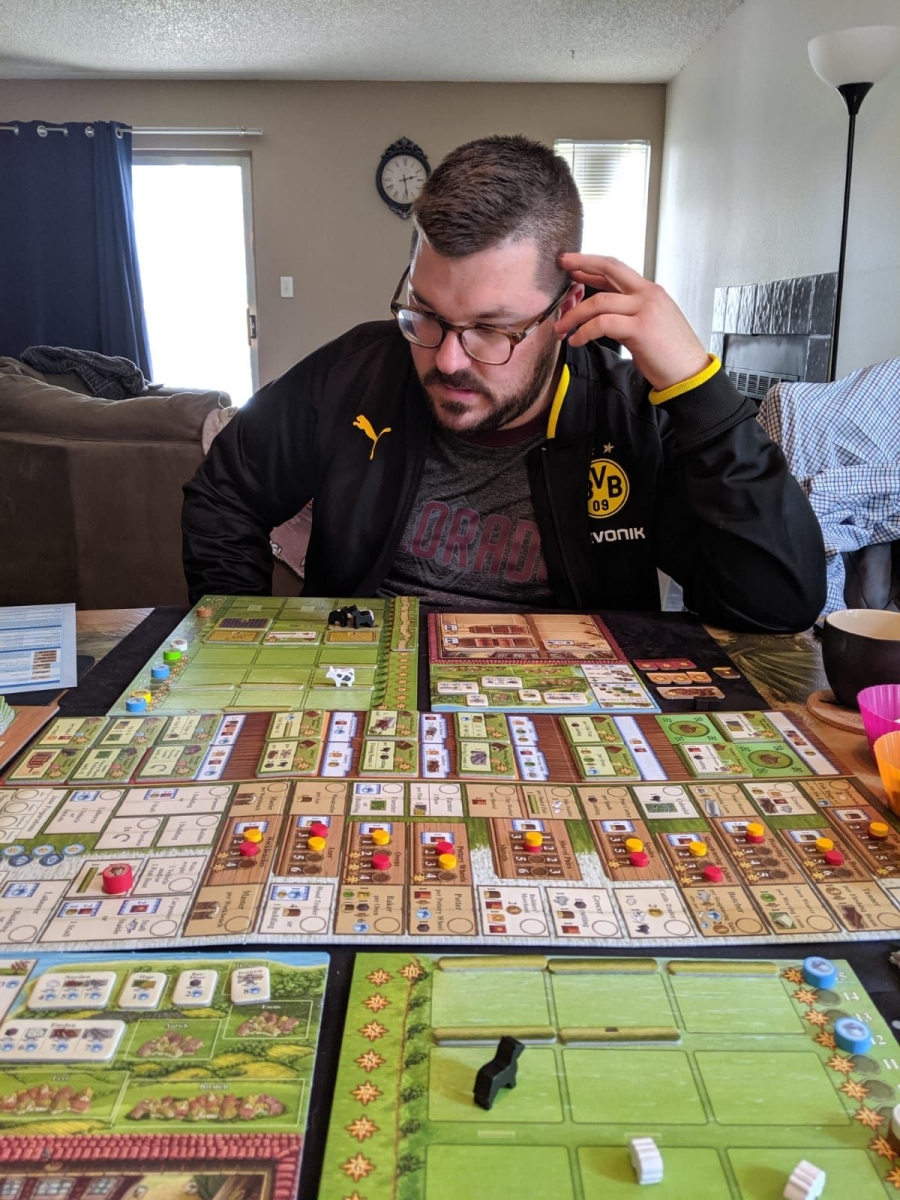 Fields of Arle